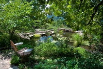 Pond at Castlewood Treatment Center