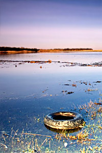 Environment
