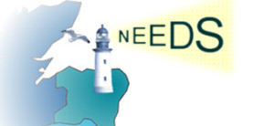 NEEDS-Logo