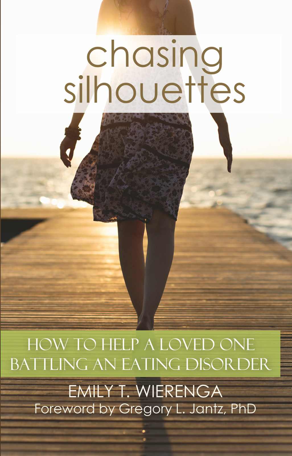 Book cover of Chasing Silhouettes