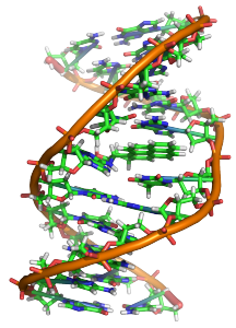 Genetics can lead to eating disorder