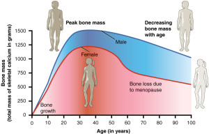 Graph of Bone Health in Girls