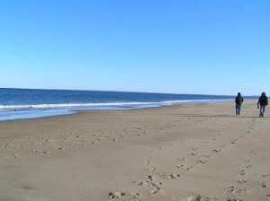 beach-500588_640