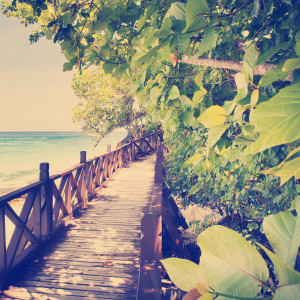 Tropical Walkway