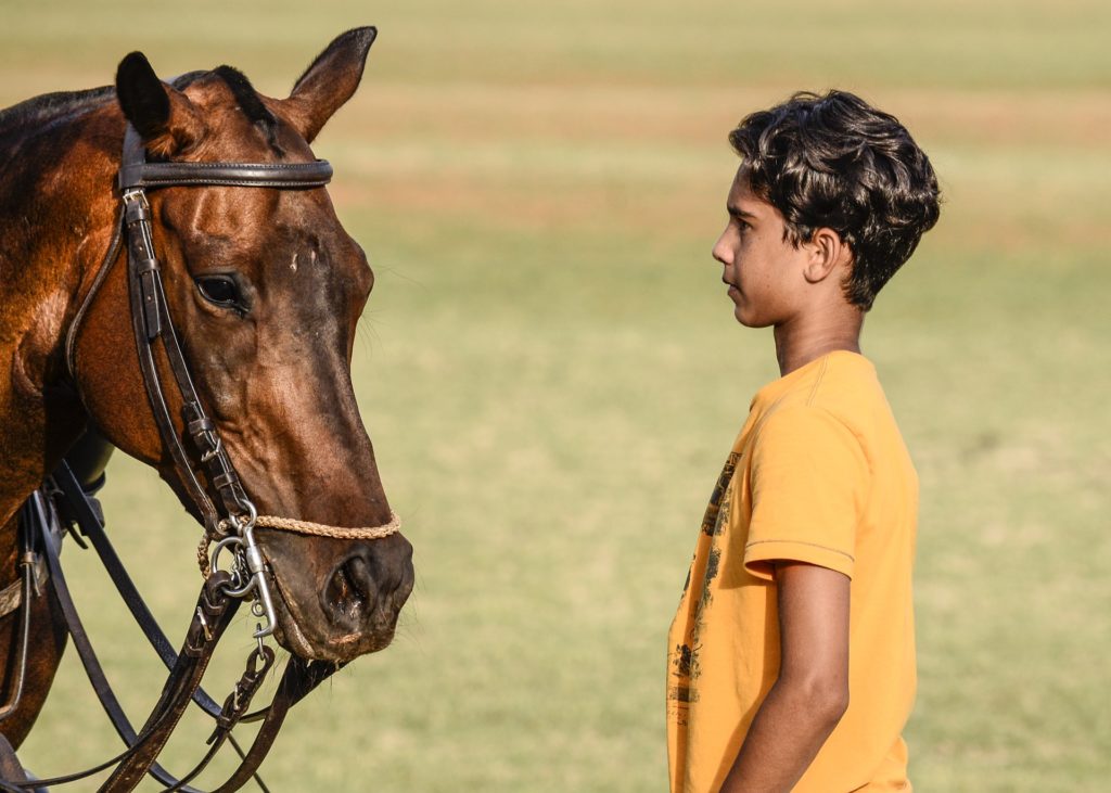 Boy Staring At A Horse used in Equine Therapy