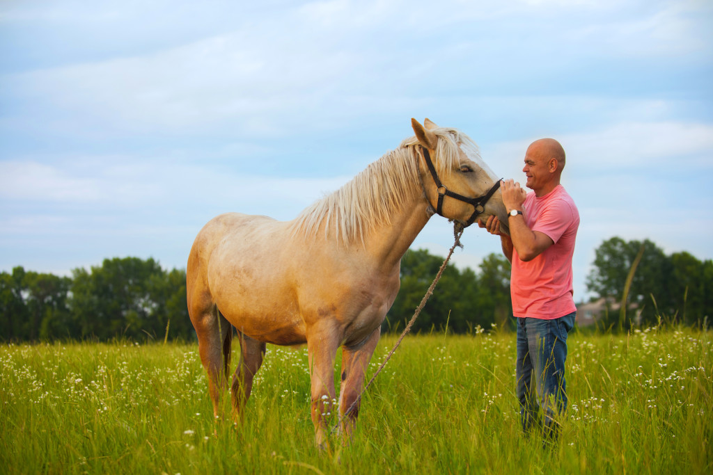 Man using Equine-Assisted Therapy