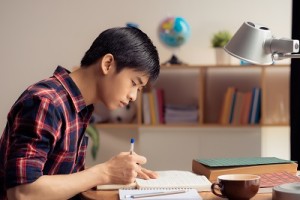 Teenage Male Doing homework