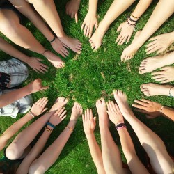 bunch of hands in circle for team work