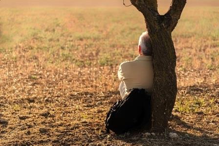 Sitting by tree