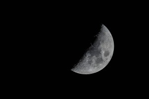 Half Moon in the evening