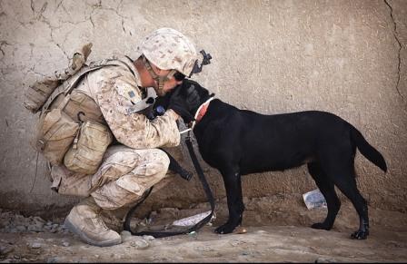 Military soldier kissing dog
