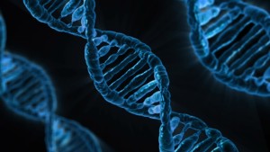 DNA 