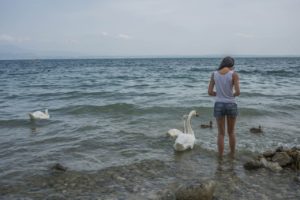 Girl feeding swans and birds