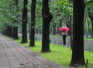 Woman in the rain