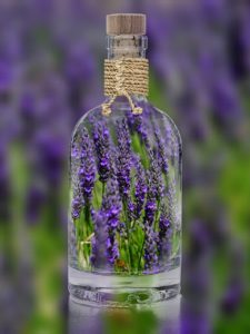 lavender-1490788_1280