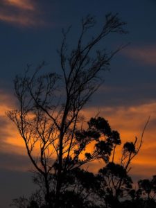 Kenya sunset