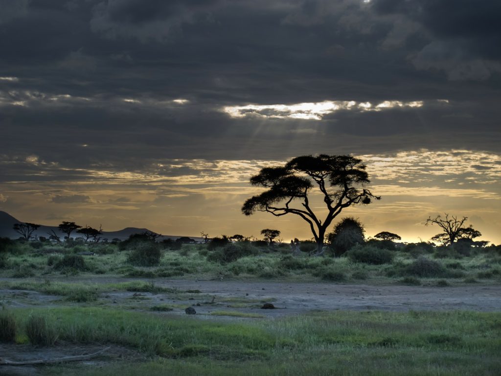 Landscape of Kenya