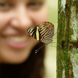 Woman and butterfly