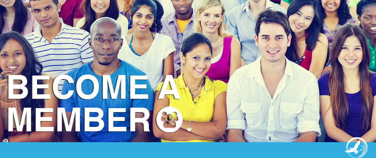 Individual, Family, Professional & Organization Members