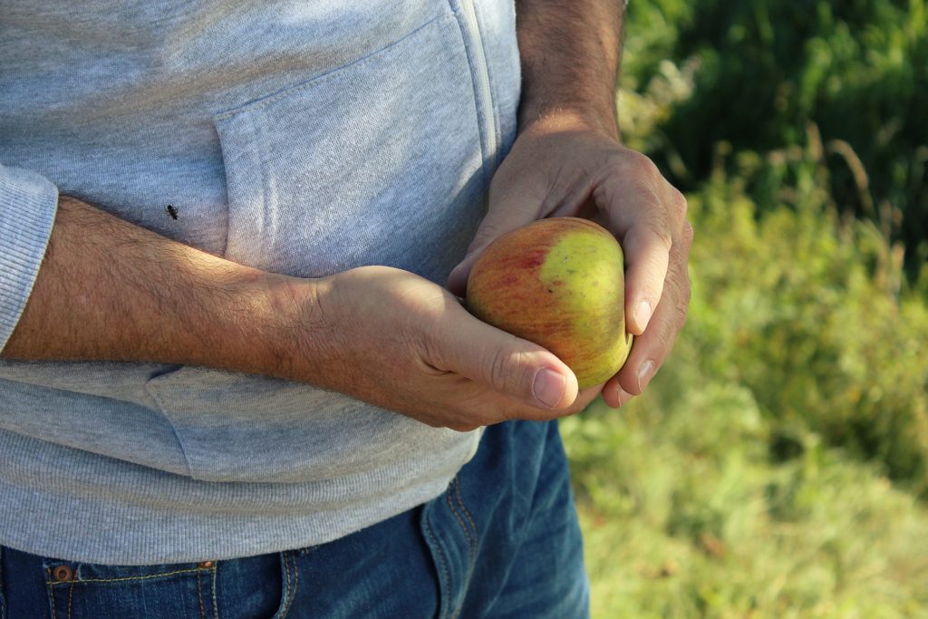 Males with Eating Disorders