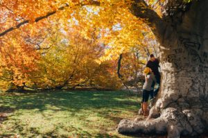 cuplu la baza arborelui