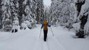 Cross country skiing