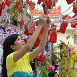 Vietnam Lunar New Year
