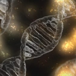 DNA Strand relating to Genetics and Anorexia