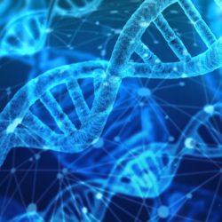 DNA Strand for Genetics in Eating Disorders