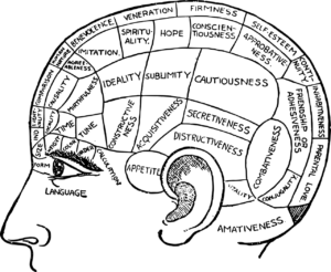 Image of brain and Eating Disorder Brain Traits