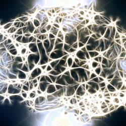 Image of Full Brain Neurons with Maladaptive Schemas
