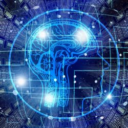 Image of brain the neurobiology of Eating Disorder Diagnoses