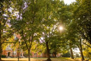 Sheppard Pratt Campus and Trees