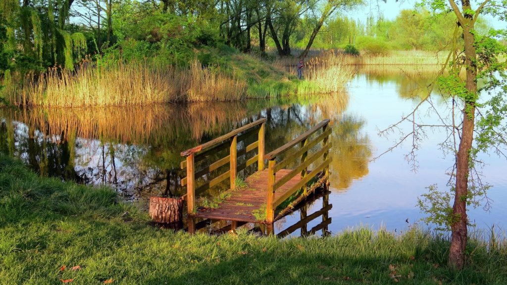 Dock in a lake