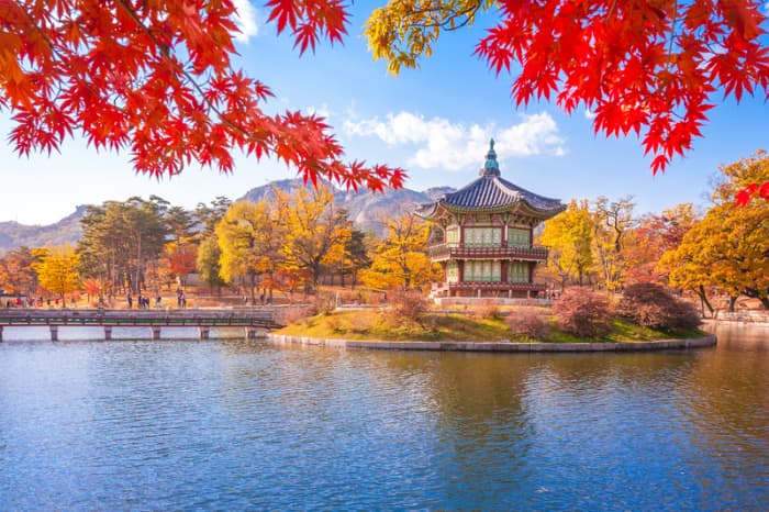 Views in South Korea