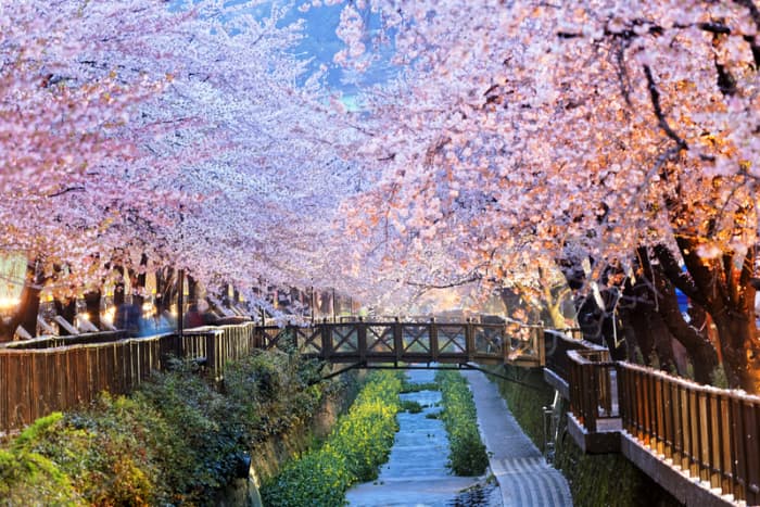 View in South Korea