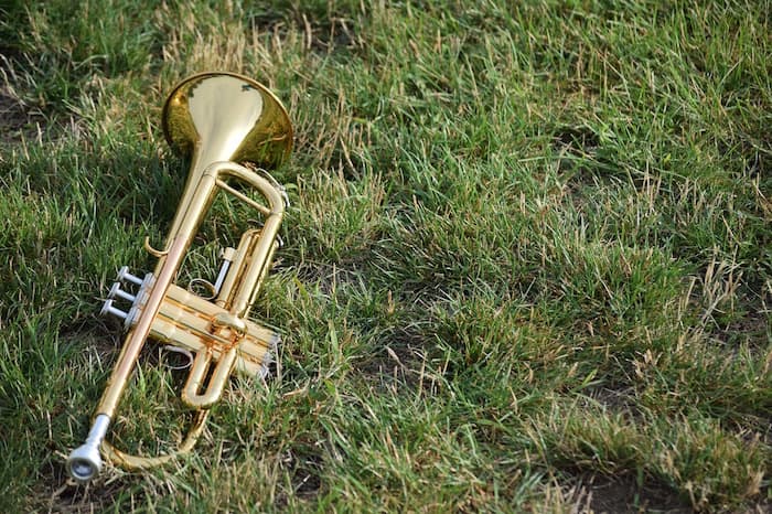 trumpet on grass
