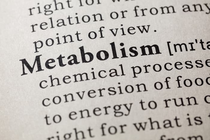 metabolism definition in book
