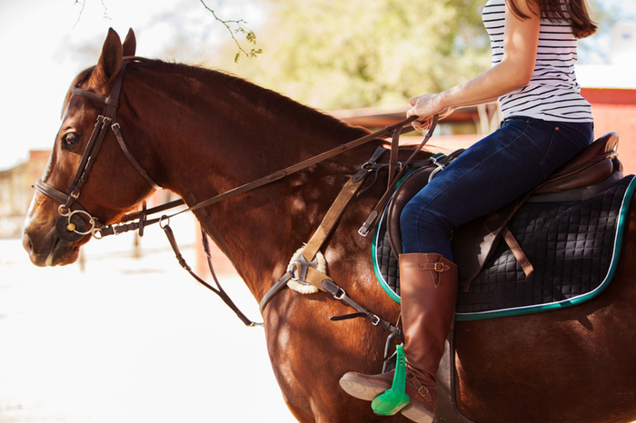 Horse Therapy